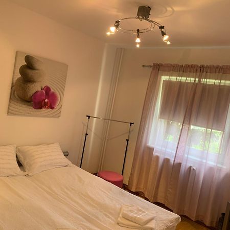 Focus Hun 3 Apartment Миеркуря Чук Екстериор снимка